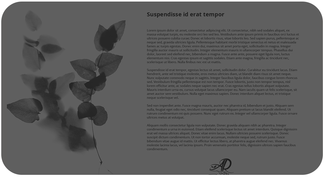 LEAD DESIGN & MANAGEMENT CREATIF